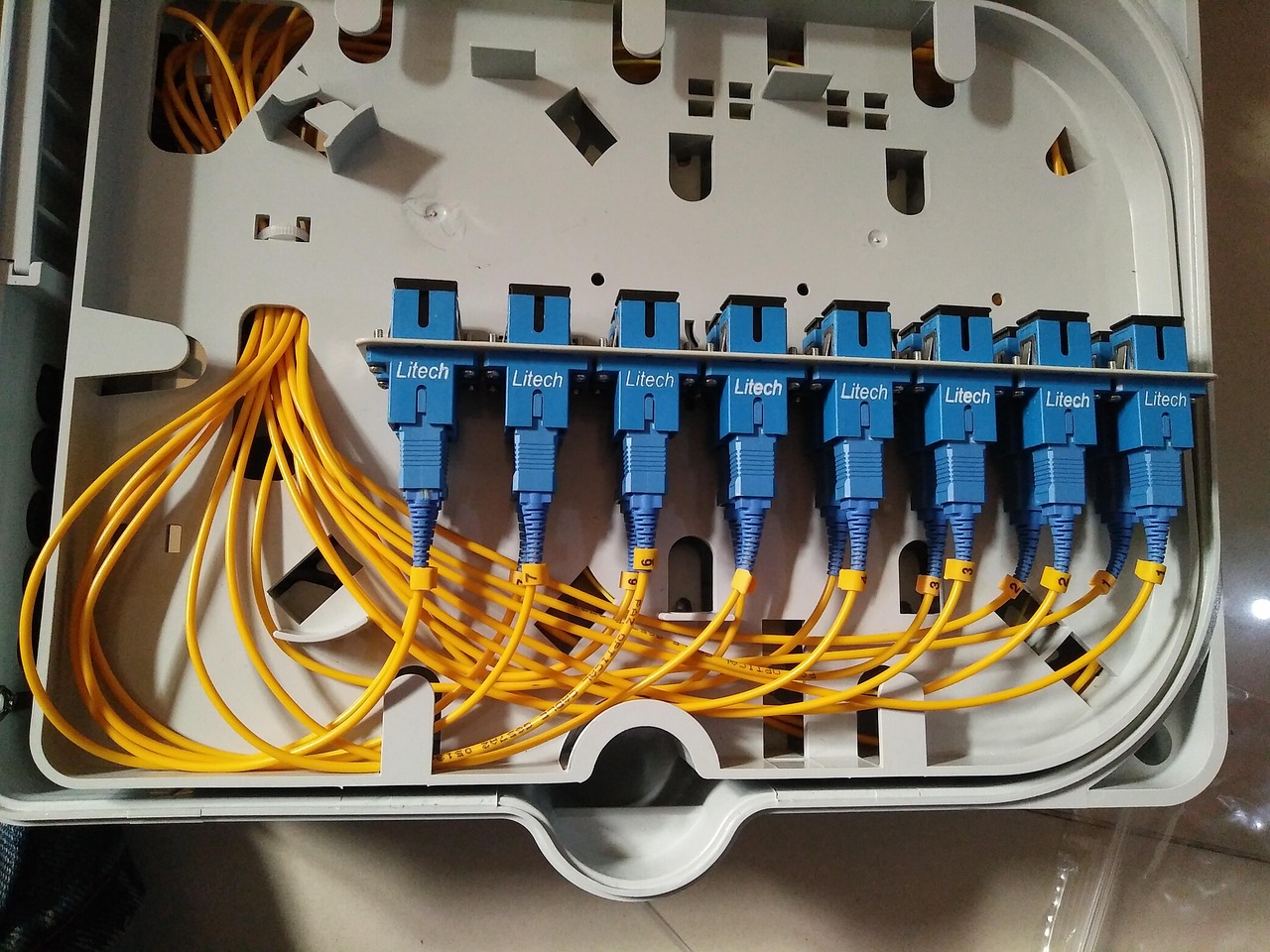 Network